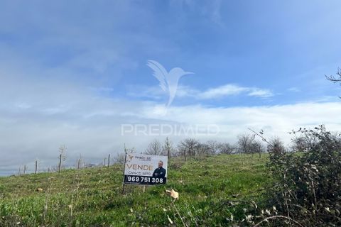 Terra a Penedono, Viseu, Penedono - € 11.000 | Ref: 058342 - foto 10