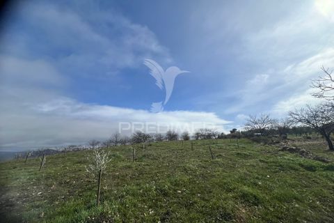 Terra a Penedono, Viseu, Penedono - € 11.000 | Ref: 058342 - foto 11
