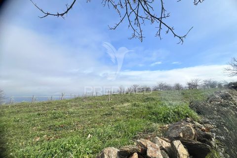 Terra a Penedono, Viseu, Penedono - € 11.000 | Ref: 058342 - foto 12