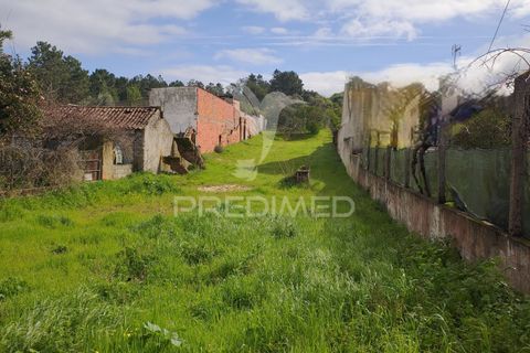 Terra a Chamusca, Santarem, Chamusca - € 55.000 | Ref: 058385 - foto 2