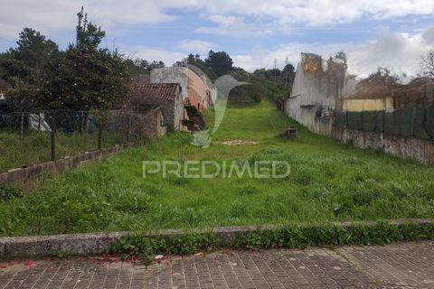 Terra a Chamusca, Santarem, Chamusca - € 55.000 | Ref: 058385 - foto 3