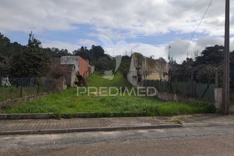 Terra a Chamusca, Santarem, Chamusca - € 55.000 | Ref: 058385 - foto 4
