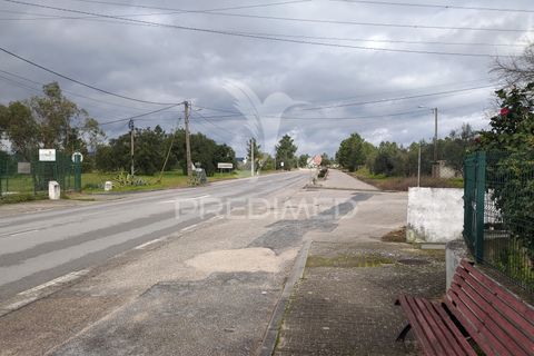 Terra a Chamusca, Santarem, Chamusca - € 55.000 | Ref: 058385 - foto 5
