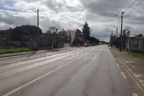 Terra a Chamusca, Santarem, Chamusca - € 55.000 | Ref: 058385 - foto 6