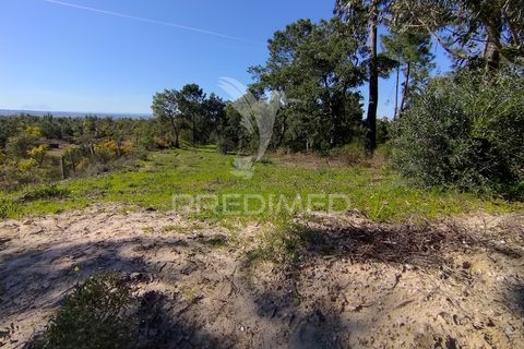 Terra a Chamusca, Santarem, Chamusca - € 55.000 | Ref: 058385 - foto 8