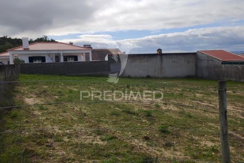 Terra a Chamusca, Santarem, Chamusca - € 23.100 | Ref: 058387 - foto 2