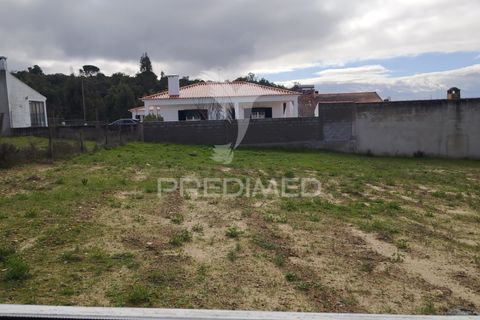 Terra a Chamusca, Santarem, Chamusca - € 23.100 | Ref: 058387 - foto 3