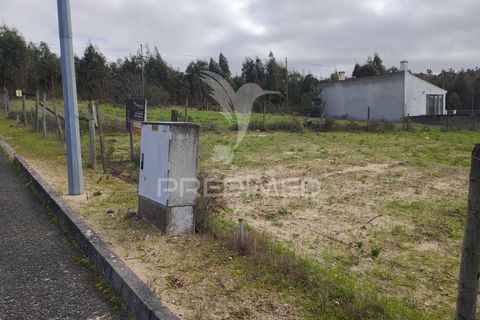 Terra a Chamusca, Santarem, Chamusca - € 23.100 | Ref: 058387 - foto 4