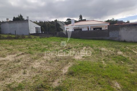 Terra a Chamusca, Santarem, Chamusca - € 23.100 | Ref: 058387 - foto 5