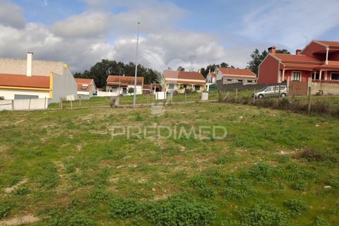 Terra a Chamusca, Santarem, Chamusca - € 23.100 | Ref: 058387 - foto 6