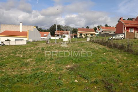 Terra a Chamusca, Santarem, Chamusca - € 23.100 | Ref: 058387 - foto 7