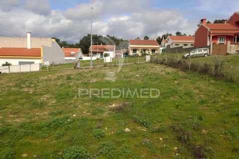 Terra a Chamusca, Santarem, Chamusca - € 23.100 | Ref: 058387 - foto 8