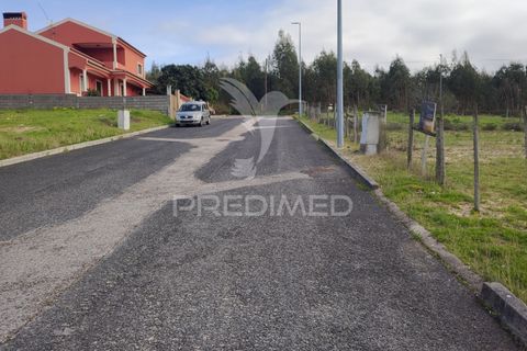 Terra a Chamusca, Santarem, Chamusca - € 23.100 | Ref: 058387 - foto 9