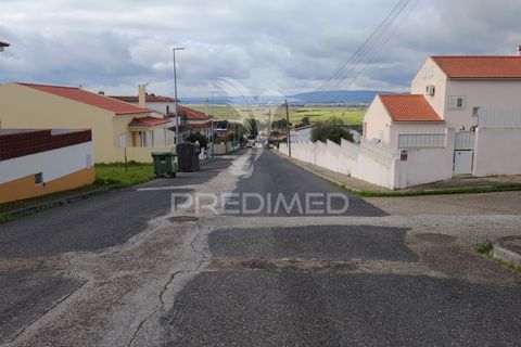 Terra a Chamusca, Santarem, Chamusca - € 23.100 | Ref: 058387 - foto 10