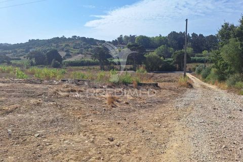 Erhvervsejendom i Azambuja, Lisbon, Azambuja - € 730.000 | Ref: 058446 - foto 6