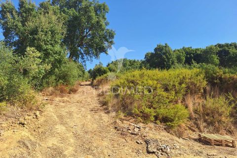 Erhvervsejendom i Azambuja, Lisbon, Azambuja - € 730.000 | Ref: 058446 - foto 7