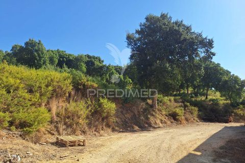 Erhvervsejendom i Azambuja, Lisbon, Azambuja - € 730.000 | Ref: 058446 - foto 8