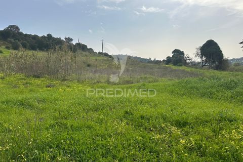 Erhvervsejendom i Azambuja, Lisbon, Azambuja - € 730.000 | Ref: 058446 - foto 9