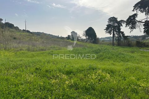 Erhvervsejendom i Azambuja, Lisbon, Azambuja - € 730.000 | Ref: 058446 - foto 10