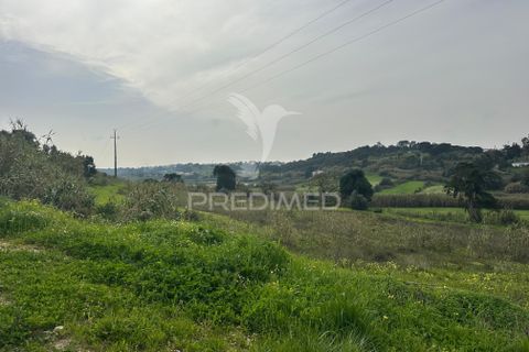 Erhvervsejendom i Azambuja, Lisbon, Azambuja - € 730.000 | Ref: 058446 - foto 12