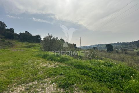 Erhvervsejendom i Azambuja, Lisbon, Azambuja - € 730.000 | Ref: 058446 - foto 13