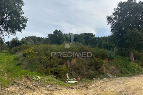 Erhvervsejendom i Azambuja, Lisbon, Azambuja - € 730.000 | Ref: 058446 - foto 14