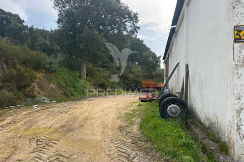 Erhvervsejendom i Azambuja, Lisbon, Azambuja - € 730.000 | Ref: 058446 - foto 15