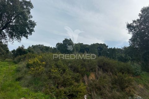 Erhvervsejendom i Azambuja, Lisbon, Azambuja - € 730.000 | Ref: 058446 - foto 16