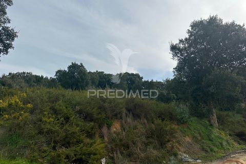 Erhvervsejendom i Azambuja, Lisbon, Azambuja - € 730.000 | Ref: 058446 - foto 17