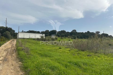 Erhvervsejendom i Azambuja, Lisbon, Azambuja - € 730.000 | Ref: 058446 - foto 18