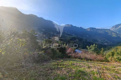 Helårsgrund i Machico, Madeira, Machico - € 15.000 | Ref: 058451 - foto 2