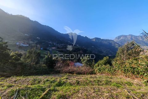 Helårsgrund i Machico, Madeira, Machico - € 15.000 | Ref: 058451 - foto 3