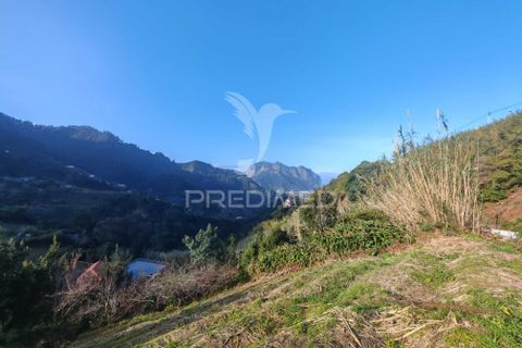 Helårsgrund i Machico, Madeira, Machico - € 15.000 | Ref: 058451 - foto 4