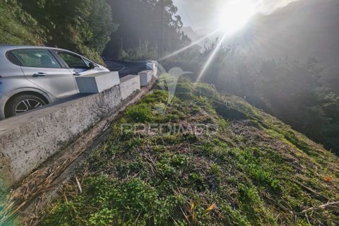 Helårsgrund i Machico, Madeira, Machico - € 15.000 | Ref: 058451 - foto 5