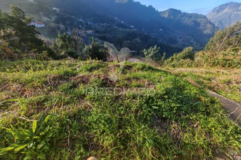 Helårsgrund i Machico, Madeira, Machico - € 15.000 | Ref: 058451 - foto 6