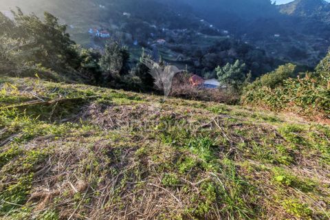 Helårsgrund i Machico, Madeira, Machico - € 15.000 | Ref: 058451 - foto 8