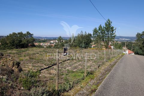 Helårsgrund i Constancia, Santarem, Constancia - € 55.000 | Ref: 058519 - foto 2