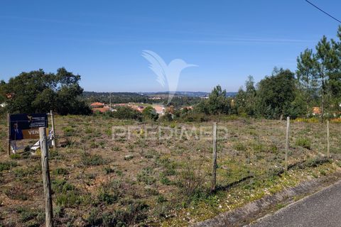 Helårsgrund i Constancia, Santarem, Constancia - € 55.000 | Ref: 058519 - foto 3