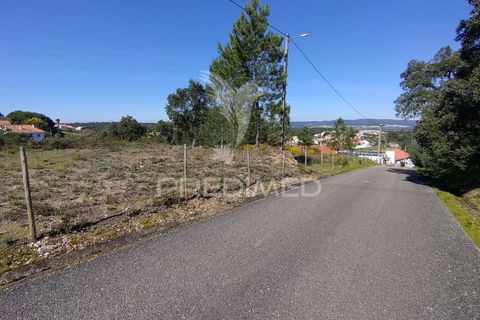 Helårsgrund i Constancia, Santarem, Constancia - € 55.000 | Ref: 058519 - foto 6