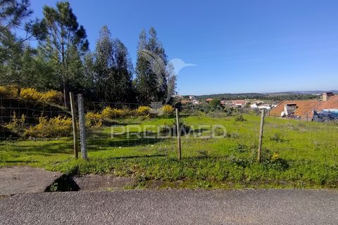 Helårsgrund i Constancia, Santarem, Constancia - € 55.000 | Ref: 058519 - foto 11