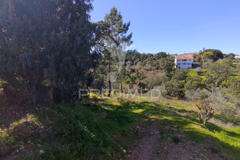 Helårsgrund i Constancia, Santarem, Constancia - € 55.000 | Ref: 058519 - foto 12