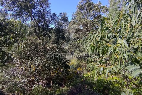 Helårsgrund i Constancia, Santarem, Constancia - € 55.000 | Ref: 058519 - foto 13