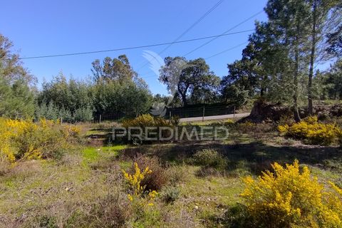 Helårsgrund i Constancia, Santarem, Constancia - € 55.000 | Ref: 058519 - foto 15