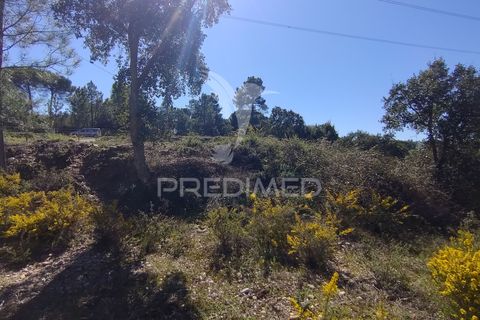 Helårsgrund i Constancia, Santarem, Constancia - € 55.000 | Ref: 058519 - foto 16