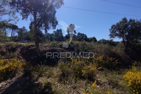 Helårsgrund i Constancia, Santarem, Constancia - € 55.000 | Ref: 058519 - foto 17