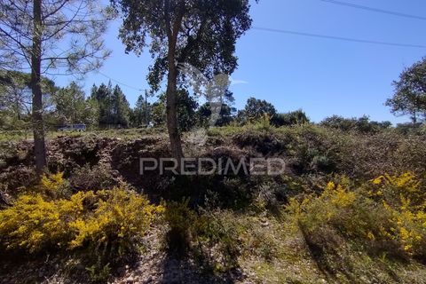 Helårsgrund i Constancia, Santarem, Constancia - € 55.000 | Ref: 058519 - foto 18