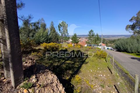 Helårsgrund i Constancia, Santarem, Constancia - € 55.000 | Ref: 058519 - foto 19