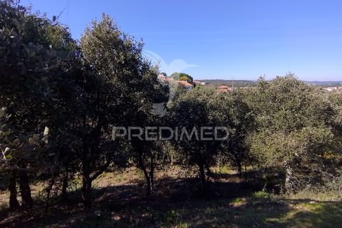Helårsgrund i Constancia, Santarem, Constancia - € 55.000 | Ref: 058519 - foto 22
