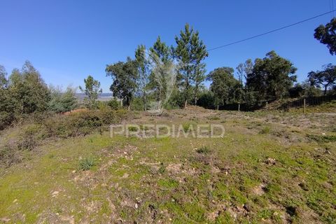 Helårsgrund i Constancia, Santarem, Constancia - € 55.000 | Ref: 058519 - foto 23