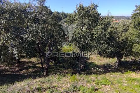 Helårsgrund i Constancia, Santarem, Constancia - € 55.000 | Ref: 058519 - foto 29